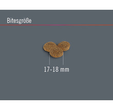 Hundefutter trocken FINEVO Sensitive Dog Lachs getreidefrei 3 kg-thumb-2 Hundefutter trocken FINEVO Sensitive Dog Lachs getreidefrei 3 kg-thumb-2