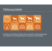 Hundefutter nass FINEVO Active Dog Huhn mit Karotte 400 g-thumb-2 Hundefutter nass FINEVO Active Dog Huhn mit Karotte 400 g-thumb-2