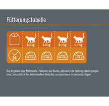 Fütterungstabelle für Katzen nach Gewicht und empfohlener Tagesration