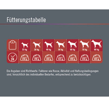 Hundefutter trocken FINEVO Adult Dog L Huhn 15 kg-thumb-3