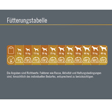 Hundefutter trocken FINEVO Senior Dog Huhn 3 kg-thumb-3 Hundefutter trocken FINEVO Senior Dog Huhn 3 kg-thumb-3