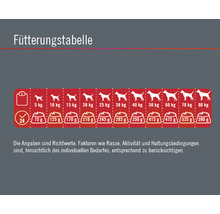 Hundefutter trocken FINEVO Sensitive Dog Lachs getreidefrei 3 kg-thumb-3 Hundefutter trocken FINEVO Sensitive Dog Lachs getreidefrei 3 kg-thumb-3