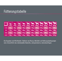 Hundefutter trocken FINEVO Junior Dog Huhn 3 kg-thumb-3 Hundefutter trocken FINEVO Junior Dog Huhn 3 kg-thumb-3