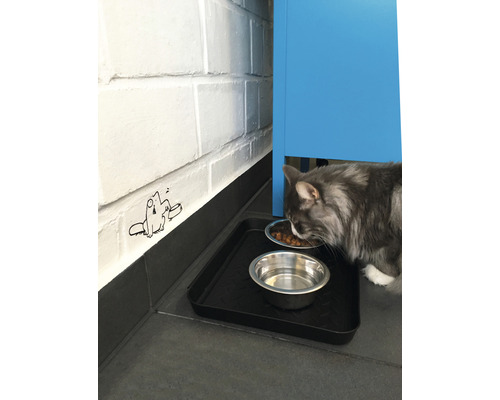 Katze frisst neben einem Wassernapf auf einer Unterlage.