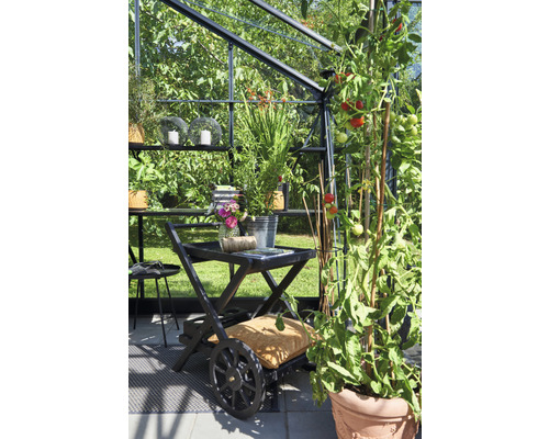 Szene in einem Gewächshaus mit Pflanzen, Dekoration und einem Servierwagen