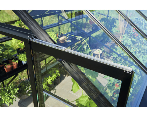 Detailaufnahme eines Gewächshauses mit Pflanzen