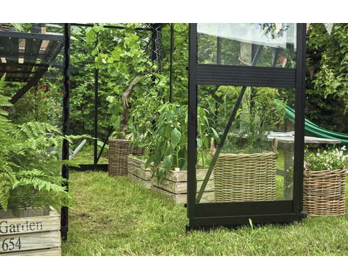 Gewächshaus mit Pflanzen in Holzkisten und Körben