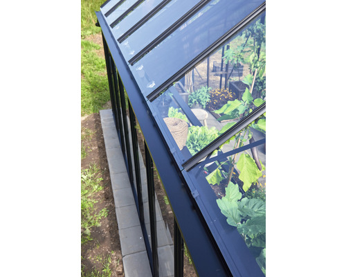 Detailansicht eines Gewächshauses mit Pflanzen und einem Pflasterweg.