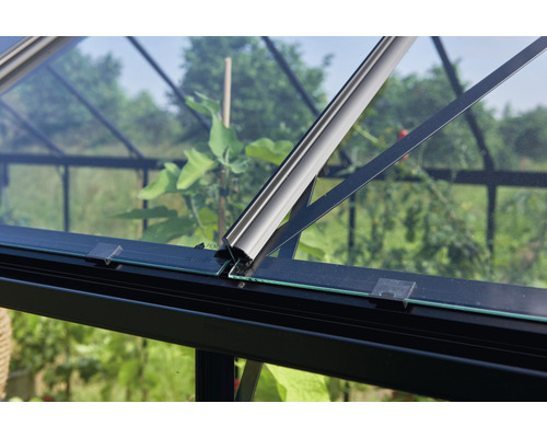 Detailansicht eines Gewächshauses mit Glasfenstern und Metallrahmen.