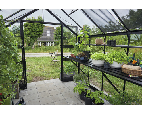 Gewächshaus mit Pflanzen und Regalen im Innenraum