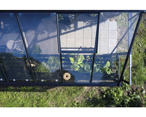 Ansicht von oben eines Gewächshauses mit geöffnetem Fenster und Pflanzen