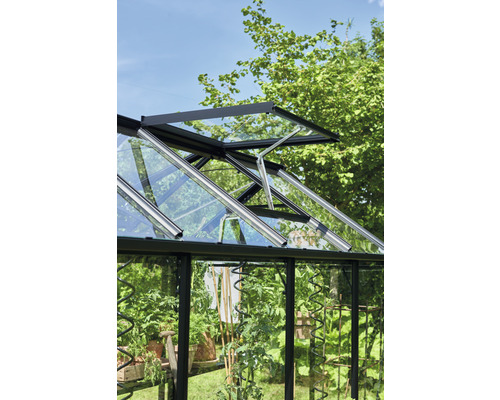 Gewächshaus mit geöffnetem Fenster zur Belüftung, Pflanzen im Inneren