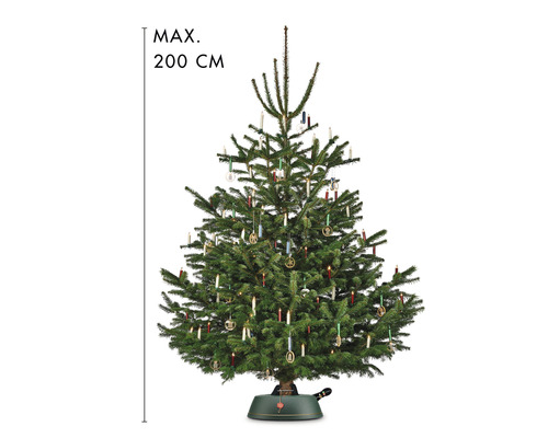 Geschmückter Christbaum mit einer maximalen Höhe von 200 Zentimetern.