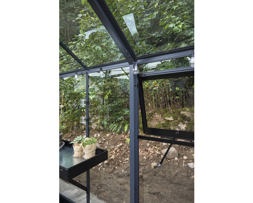 Innenansicht eines Gewächshauses mit Pflanzenregal und geöffnetem Fenster