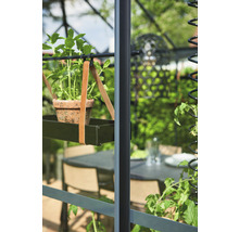 Gewächshaus JULIANA Compact 6,6 m² 10 mm Stegdoppelplatten 224 x 296 cm anthrazit-thumb-8 Gewächshaus JULIANA Compact 6,6 m² 10 mm Stegdoppelplatten 224 x 296 cm anthrazit-thumb-8