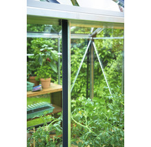 Gewächshaus JULIANA Premium 8,8 m² 3 mm Sicherheitsglas 296x296 cm Aluminium-thumb-3 Gewächshaus JULIANA Premium 8,8 m² 3 mm Sicherheitsglas 296x296 cm Aluminium-thumb-3