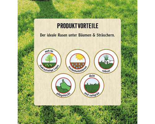 Produktvorteile: Rasen für halbschattige Lagen, trockenheitstolerant, robust, pflegeleicht, dicht und sattgrün.