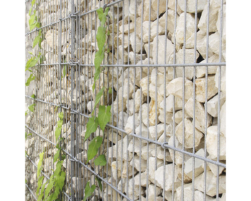 Gabione mit Steinen und Bewuchs