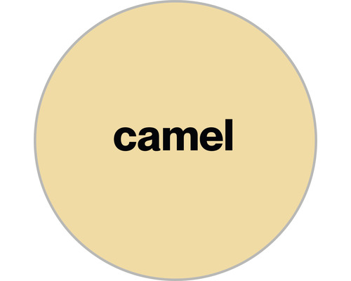 Farbfeld Kamel