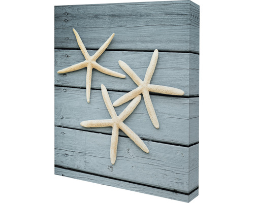 Leinwandbild mit Seesternmotiv auf Holz