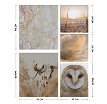 Mehrteiliges Wandbild mit Naturmotiven und Größenangaben