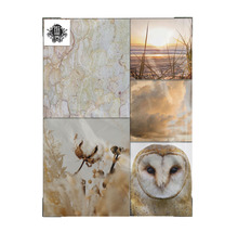 Fotocollage mit Naturmotiven: Baumrinde, Sonnenaufgang am Strand, Wolken und Eule