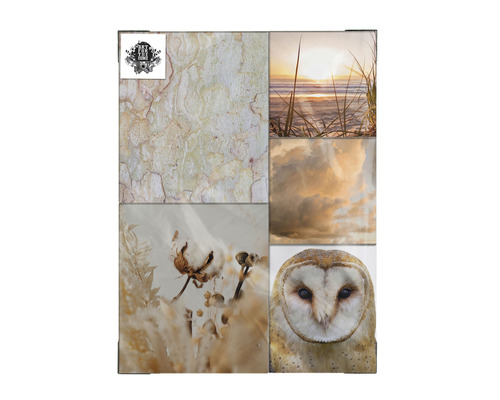 Fotocollage mit Naturmotiven: Baumrinde, Sonnenaufgang am Strand, Wolken und Eule