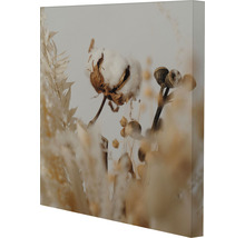 Dekorative Leinwand mit Baumwollmotiv und Trockenblumen