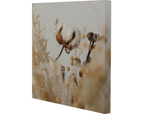Dekorative Leinwand mit Baumwollmotiv und Trockenblumen