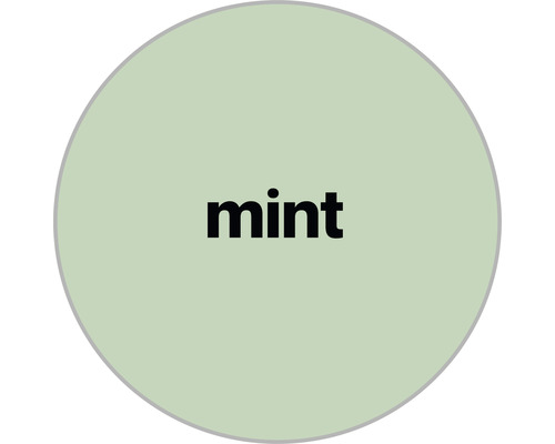 Mint Farbe