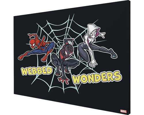 Leinwanddruck mit Spider-Man, Miles Morales und Spider-Gwen vor einem Spinnennetz und dem Schriftzug Webbed Wonders