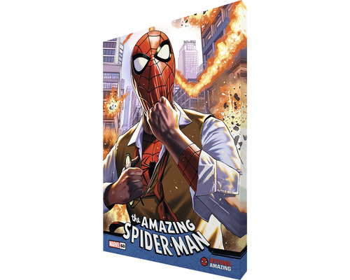 The Amazing Spider-Man Comic Cover