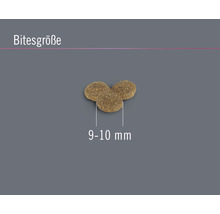 Hundefutter trocken FINEVO Junior Dog Huhn 3 kg-thumb-2 Hundefutter trocken FINEVO Junior Dog Huhn 3 kg-thumb-2