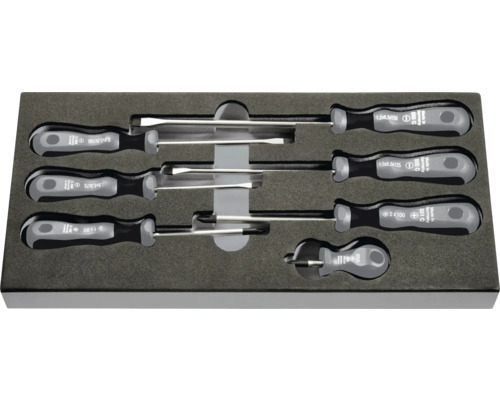 Schraubendrehersatz mit Schlitz und Kreuzschlitz in Aufbewahrungsbox