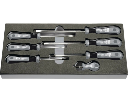 Schraubendrehersatz mit Schlitz und Kreuzschlitz in Aufbewahrungsbox