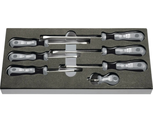 Schraubendreher Set mit Schlitz- und Kreuzschlitzschraubendrehern in Schaumstoffeinlage