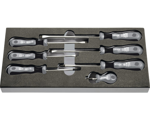 Schraubendrehersatz mit verschiedenen Schraubendrehern in einer Box