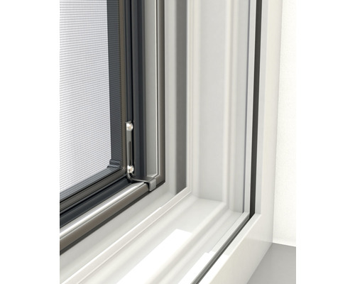 Detailansicht eines Fensters mit Insektenschutzgitter