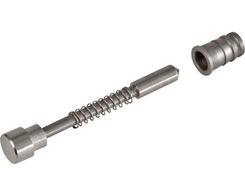 Federbolzen mit Feder und Aufnahme