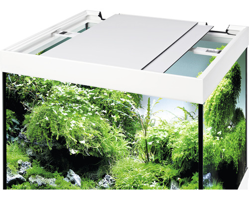 Aquarium mit Pflanzen und Abdeckung