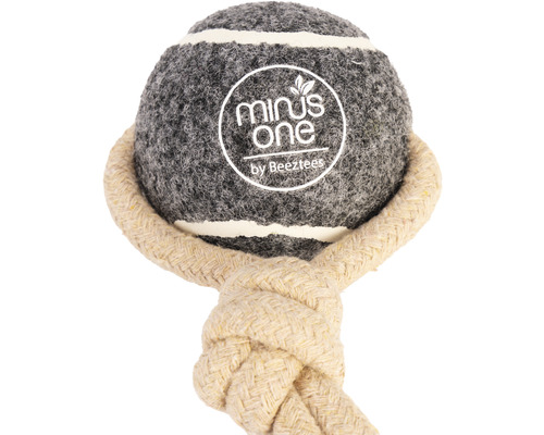 Hundespielzeug Ball mit Seil