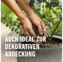 Person bedeckt Pflanzenerde dekorativ mit Kieseln