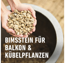 Bimsstein für Balkon und Kübelpflanzen in den Händen
