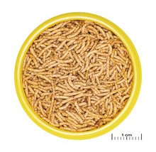 Futtersticks JBL PRONOVO RED INSECT Gr. S 100 ml Goldfischfutter