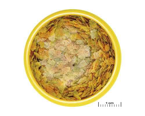 Flockenfutter für Fische in Dose, von oben aufgenommen