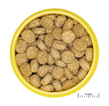 Hundefutter in runder Form im Behälter