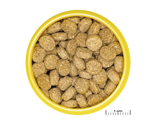 Hundefutter in runder Form im Behälter