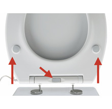 Detailansicht eines WC-Sitzes mit abnehmbarer Funktion
