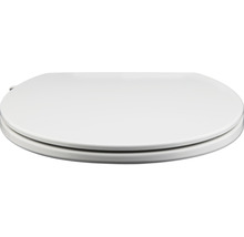 Toilettendeckel aus Kunststoff