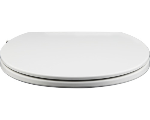 Toilettendeckel aus Kunststoff